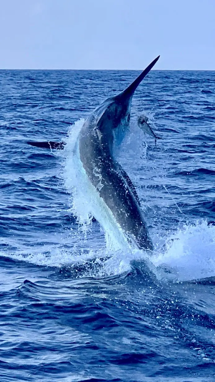 Stella Property Group Heavy Tackle Challenge